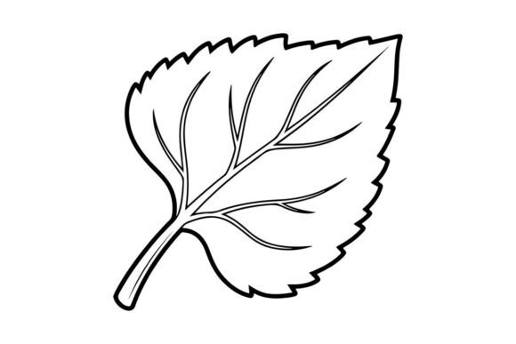 Outline Leaf Illustration: Graphics & Coloring Pages Amp